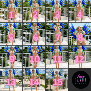 Photo Gallery