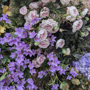 SPRING BKGD 300x300 - TEMPESTT