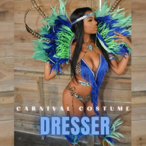 COSTUME DRESSER 2 300x300 - Add-ons